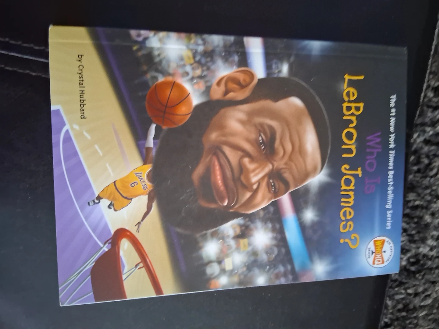 Who Is LeBron James? Book