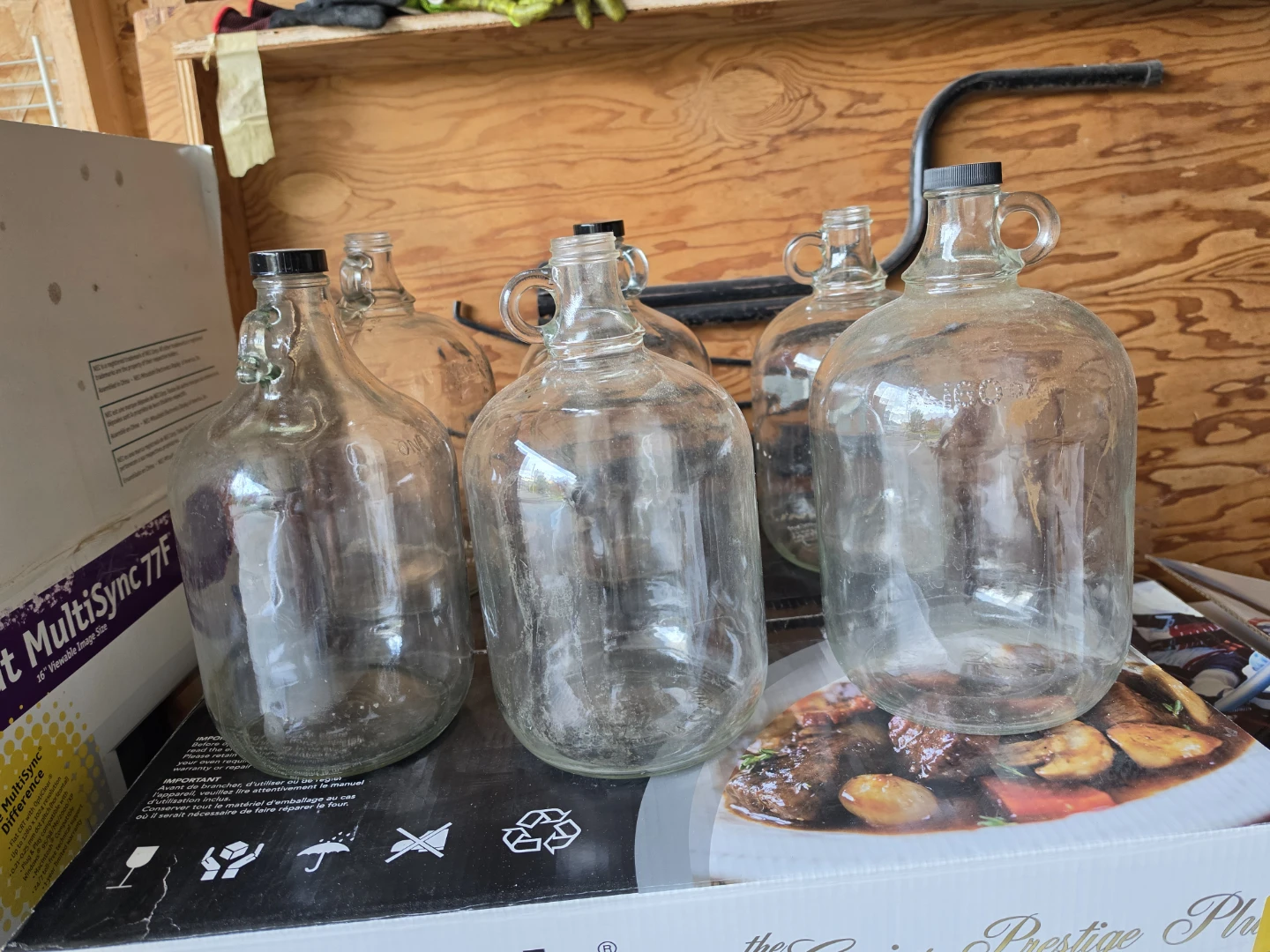 Set of 10 Glass Jugs and Carboys - photo 2