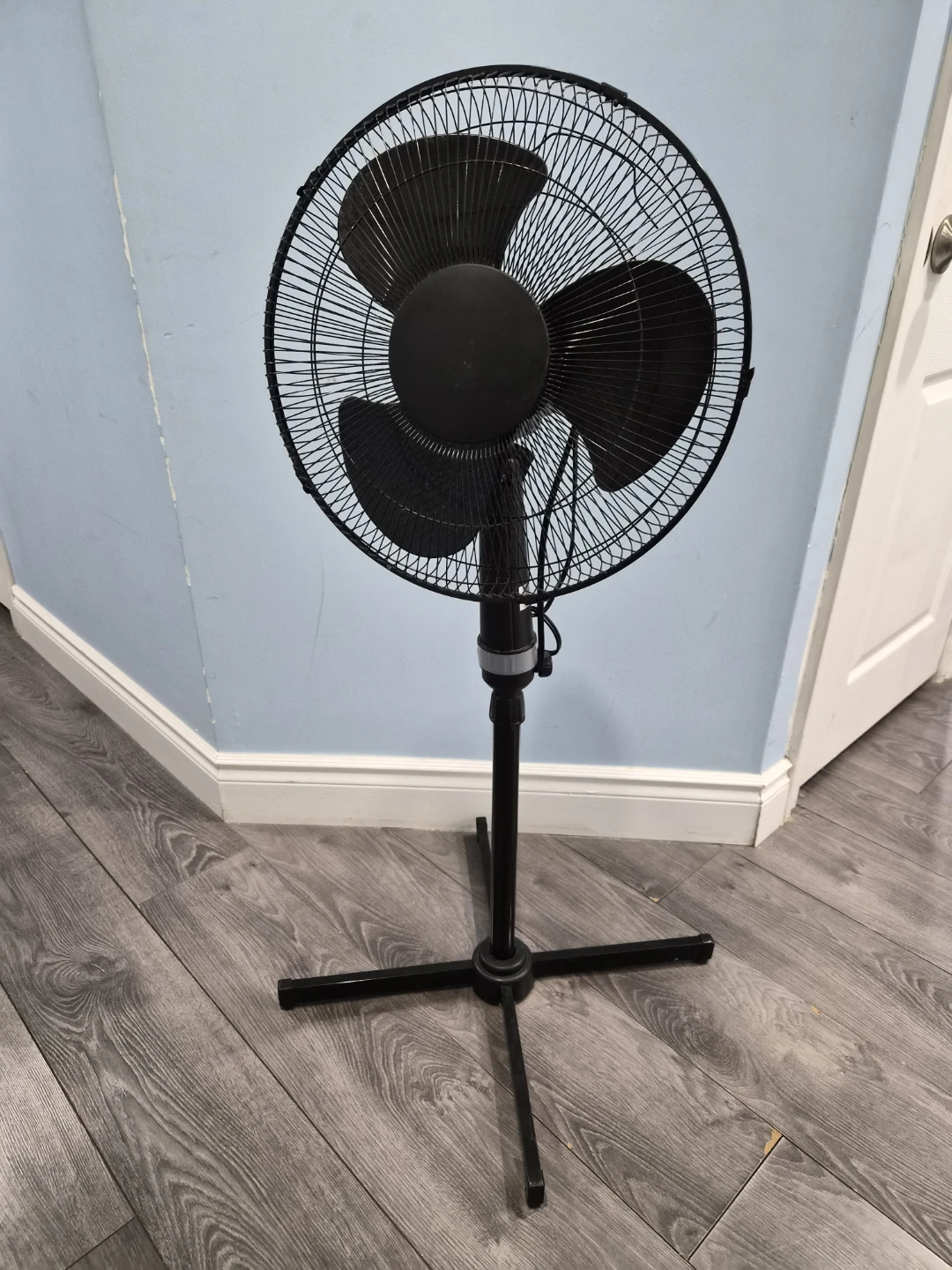 Black Oscillating Pedestal Fan