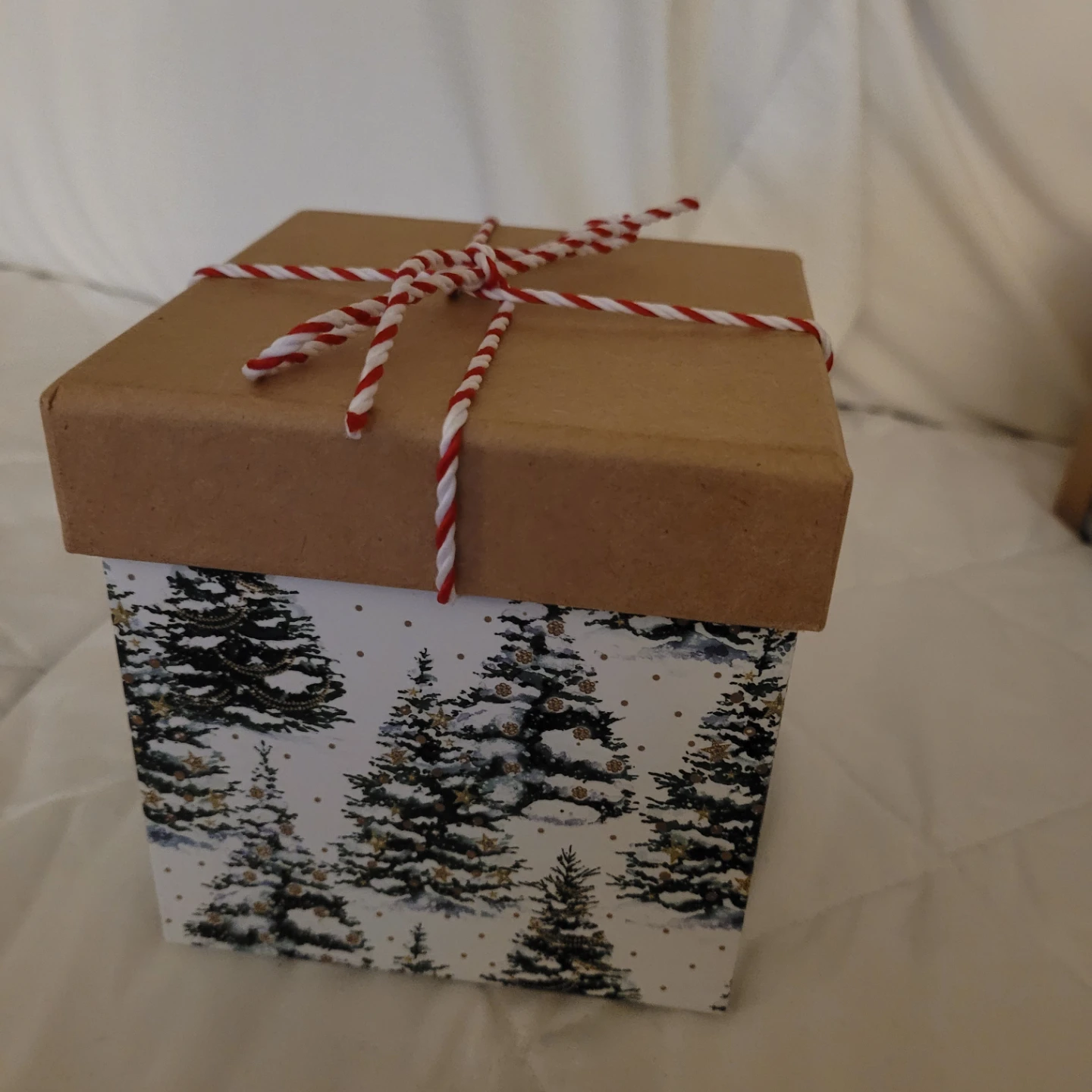Punch Studio Decorative Gift Box - photo 2