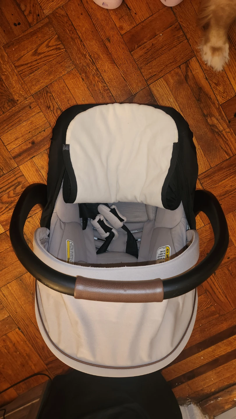 Maxi-Cosi Infant Car Seat