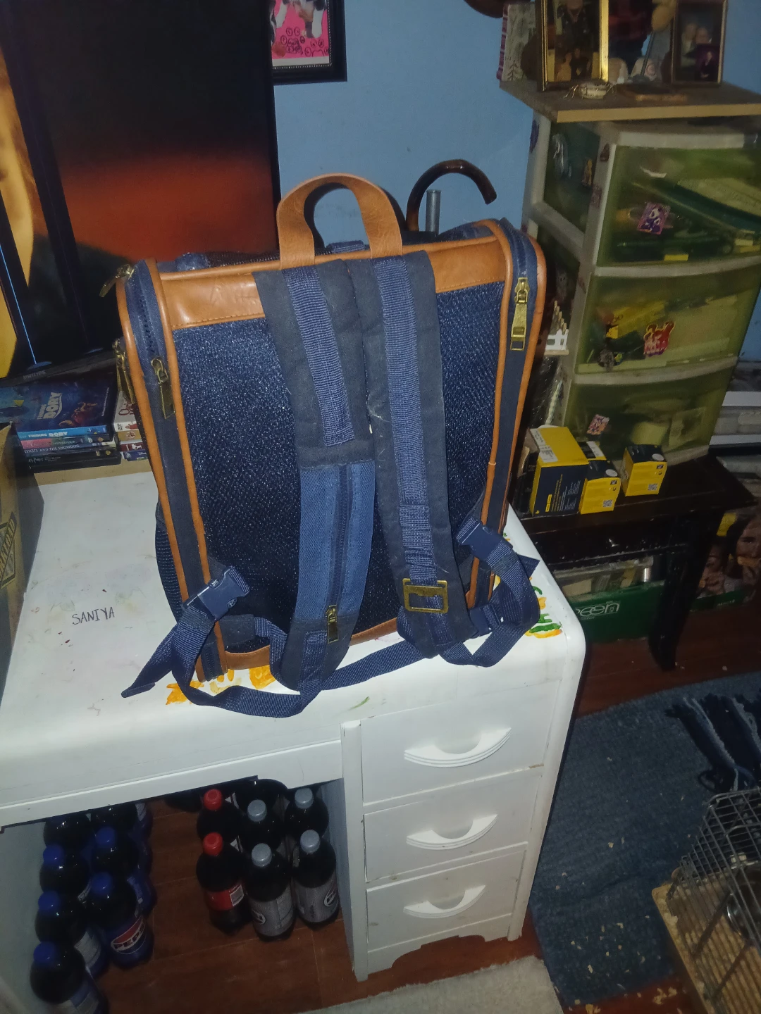 Pet backpack