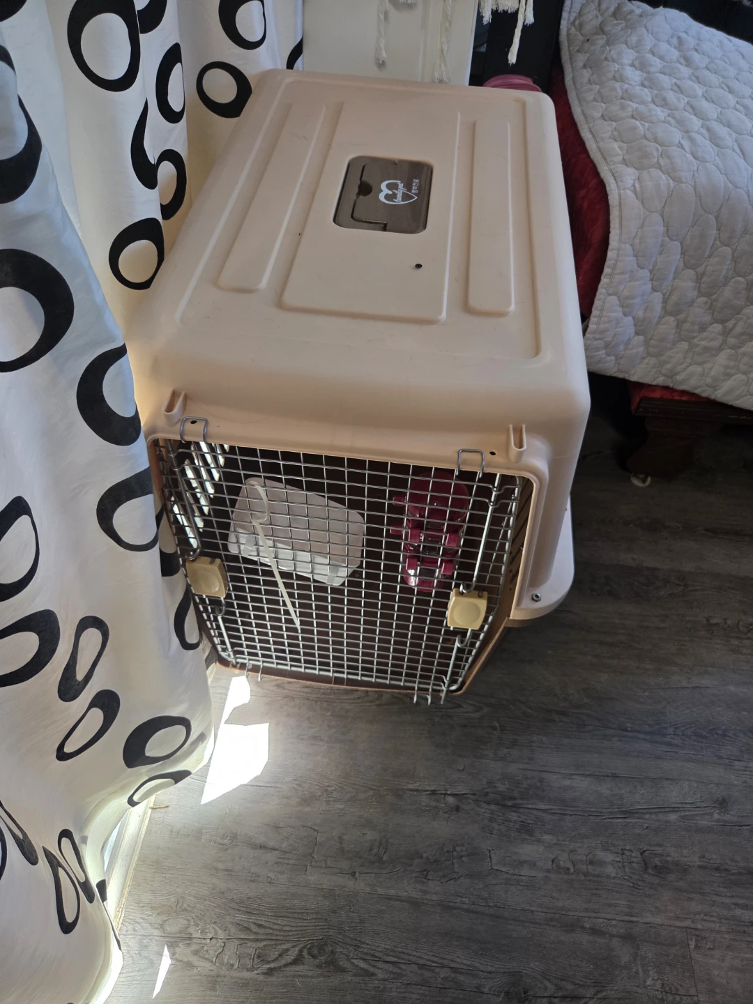 Pet travel crate