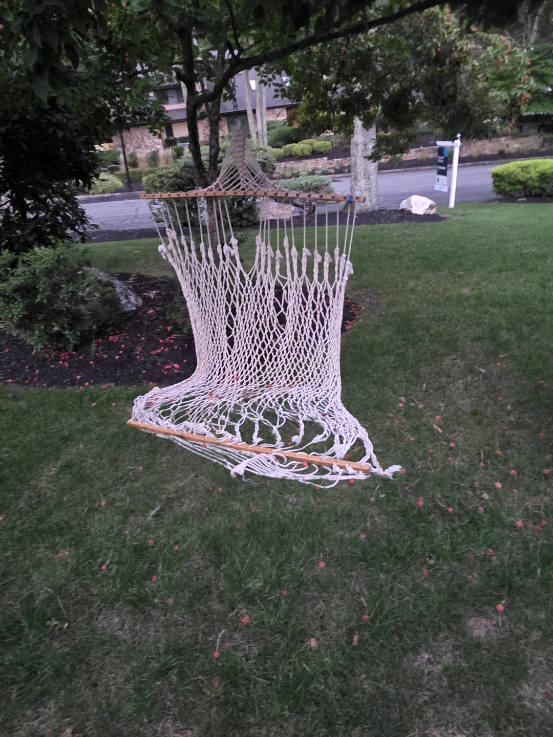 Rope Hammock