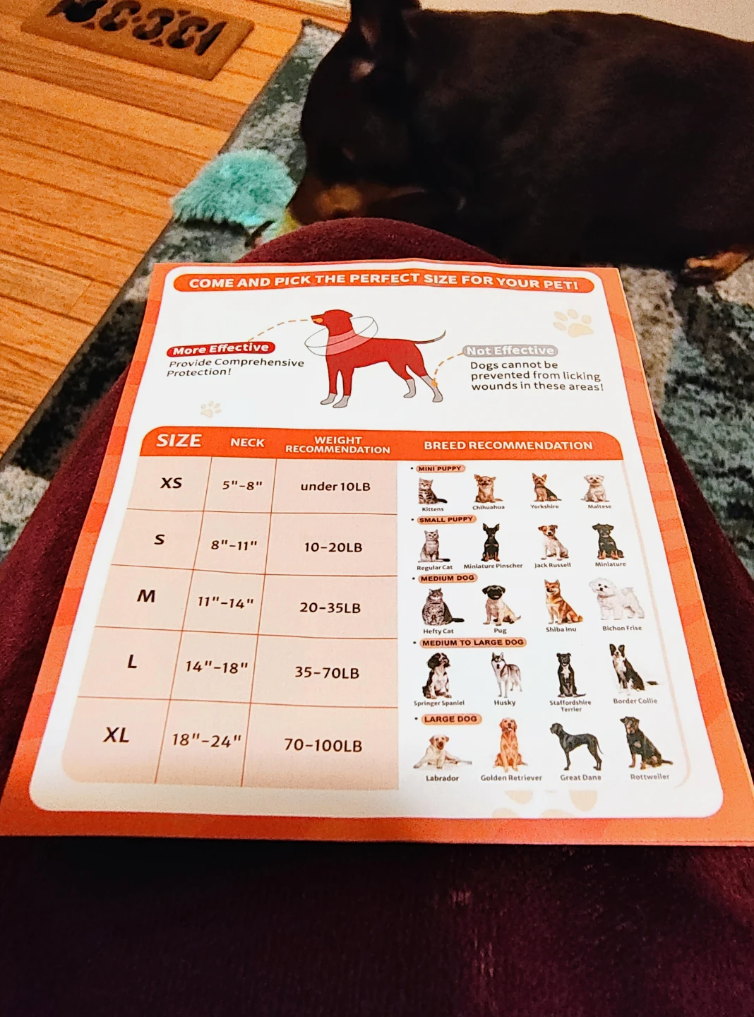MIDOG Inflatable Dog Cones – New Open Box – Multiple Sizes - photo 3