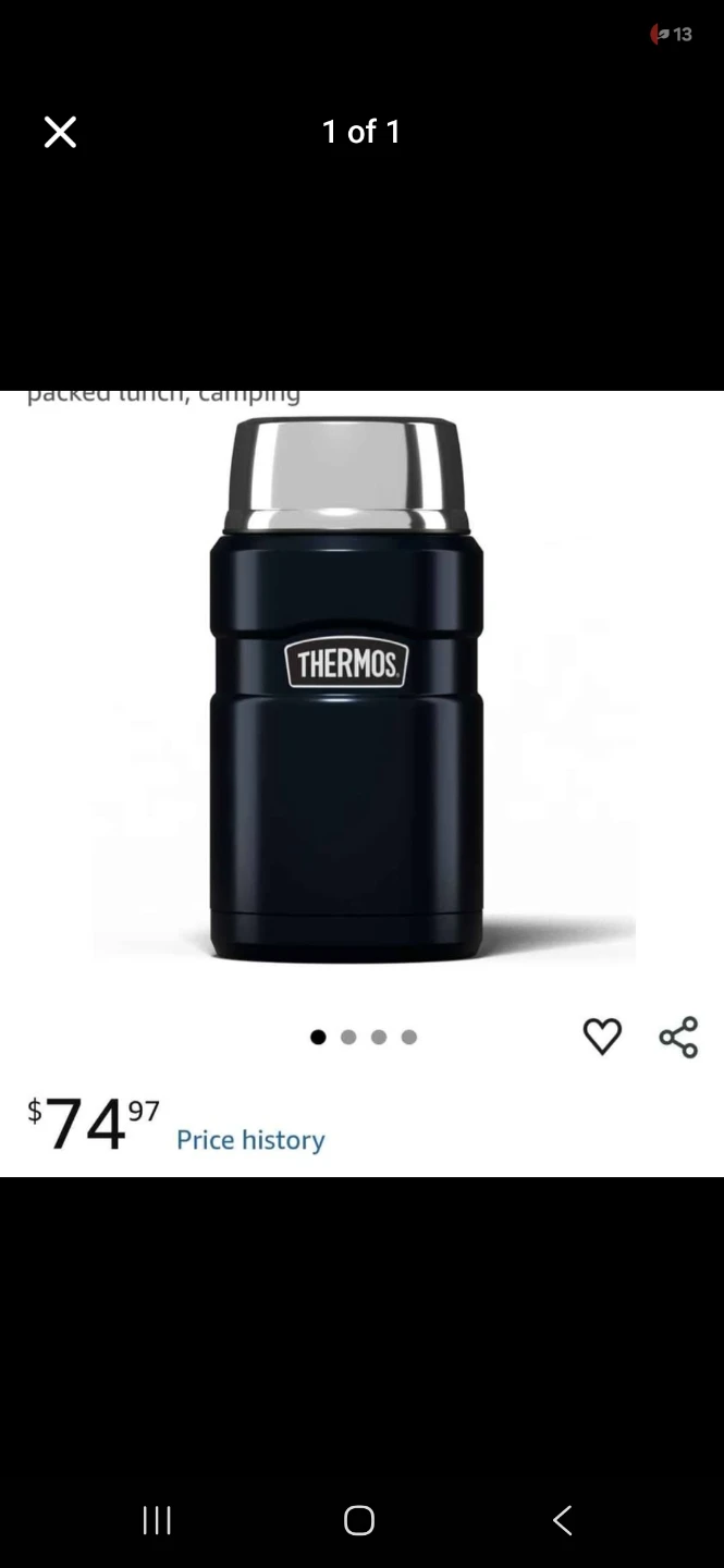 Thermos Stainless King Food Jar