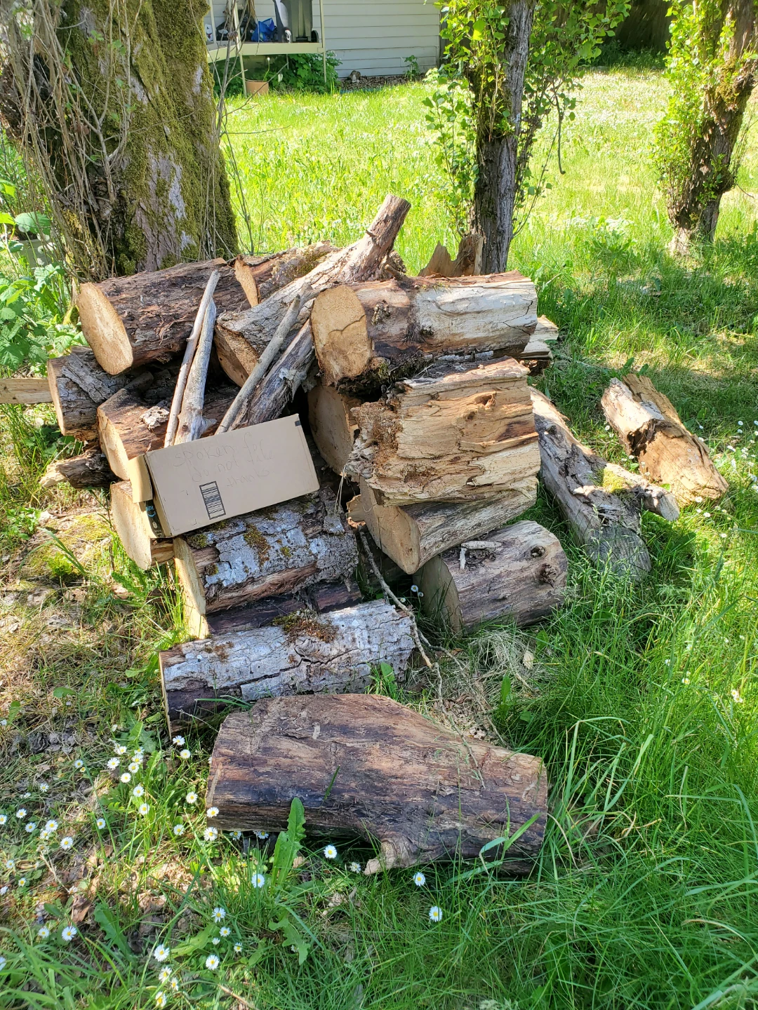 Assorted of Wood Pieces - photo 5