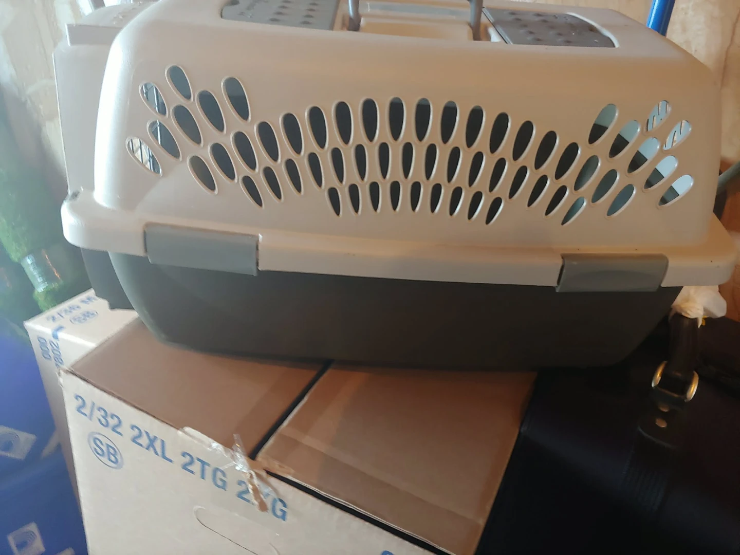 Pet Taxi pet carrier