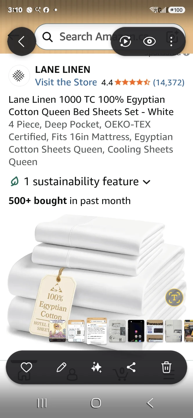 Lane Linen 1000 TC Queen Cotton Bed Sheet Set