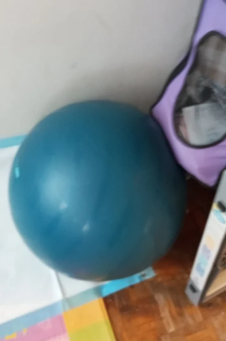 Blue Exercise Stability Ball