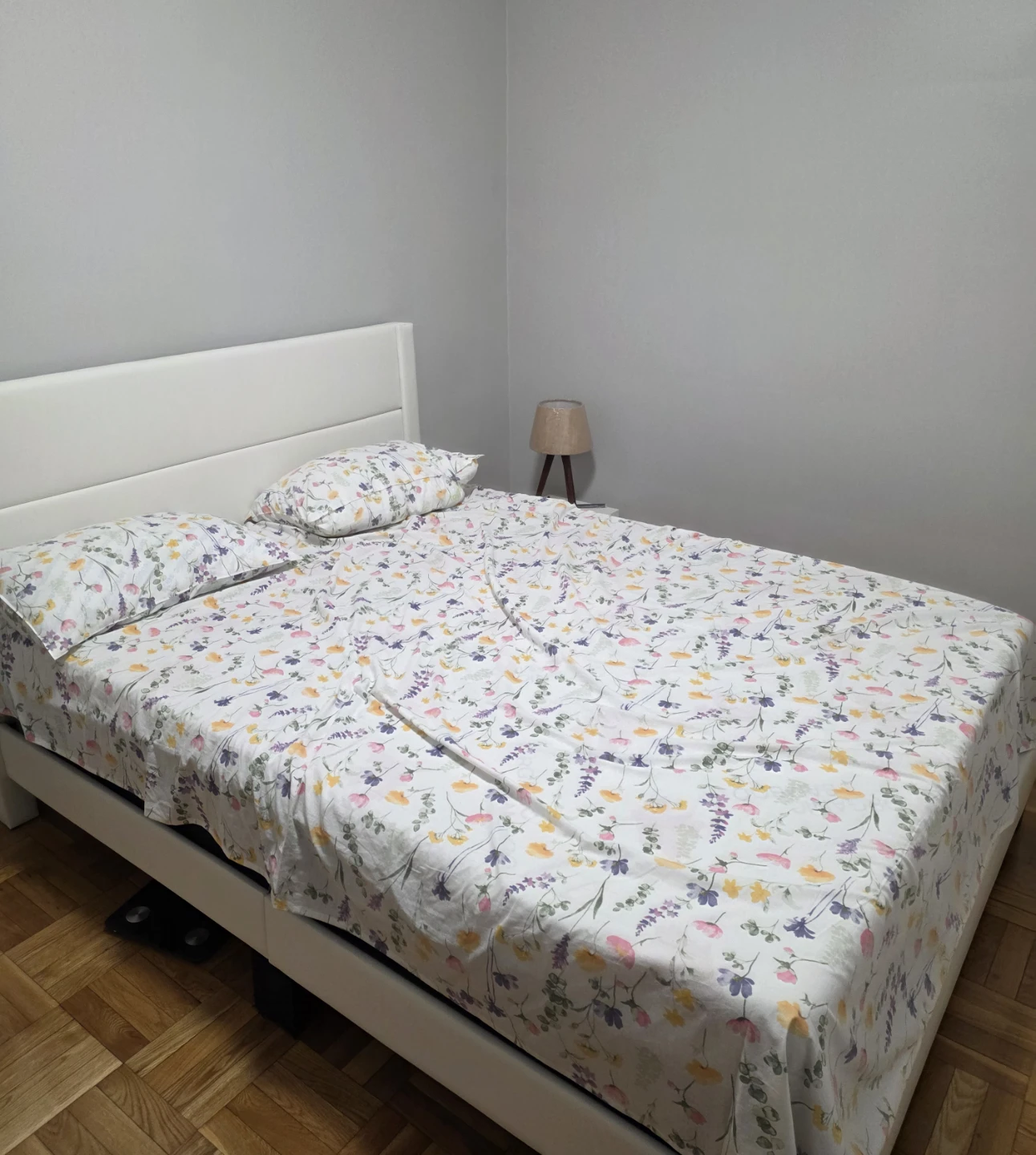 White Upholstered Bed Frame and queen size bed