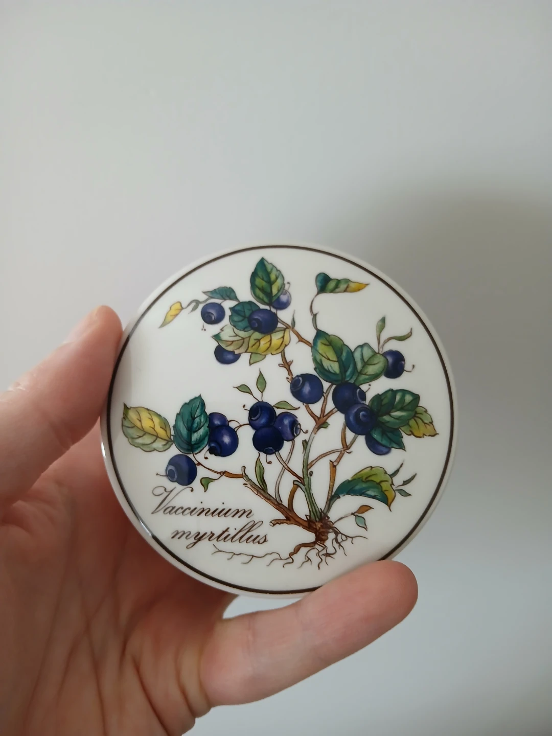 Villeroy & Boch Botanica Trinket Box 🏈