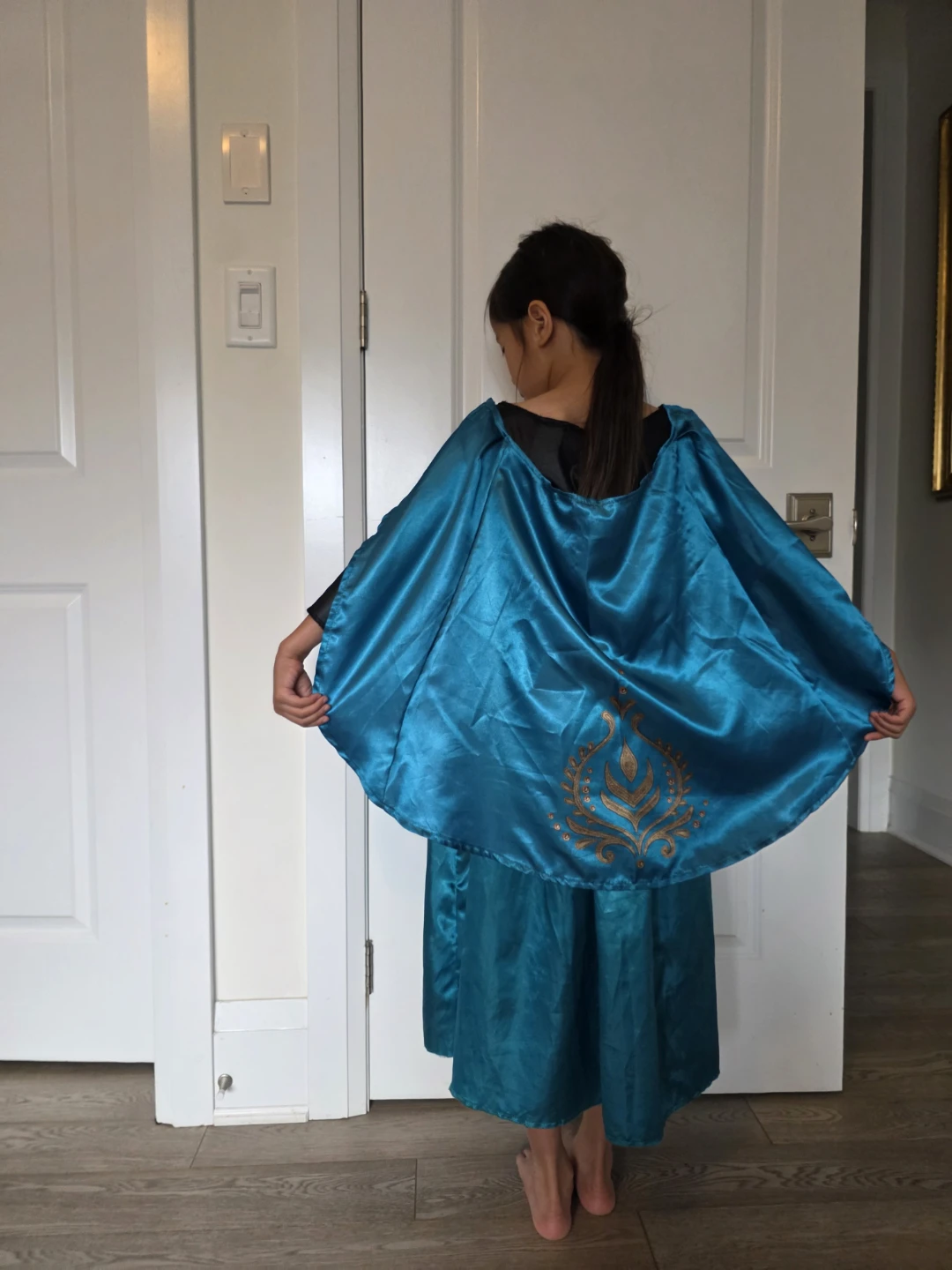 Disney Frozen Anna Costume - photo 4