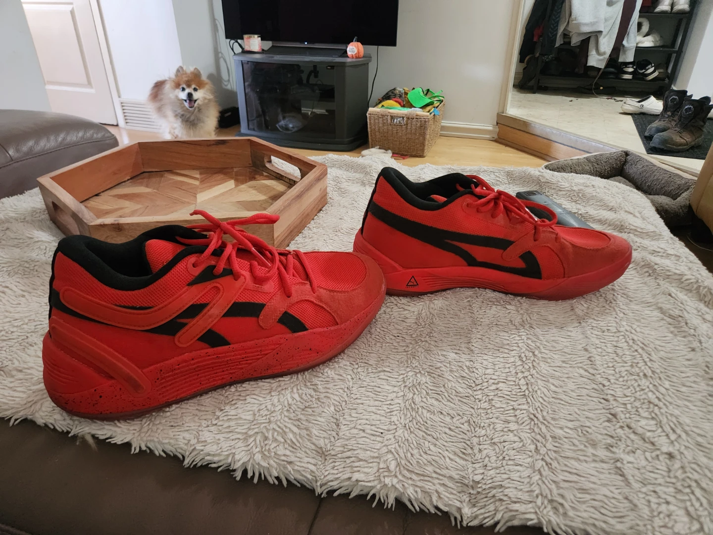 Puma Court Rider Chaos Basketball Shoes Red Size 10