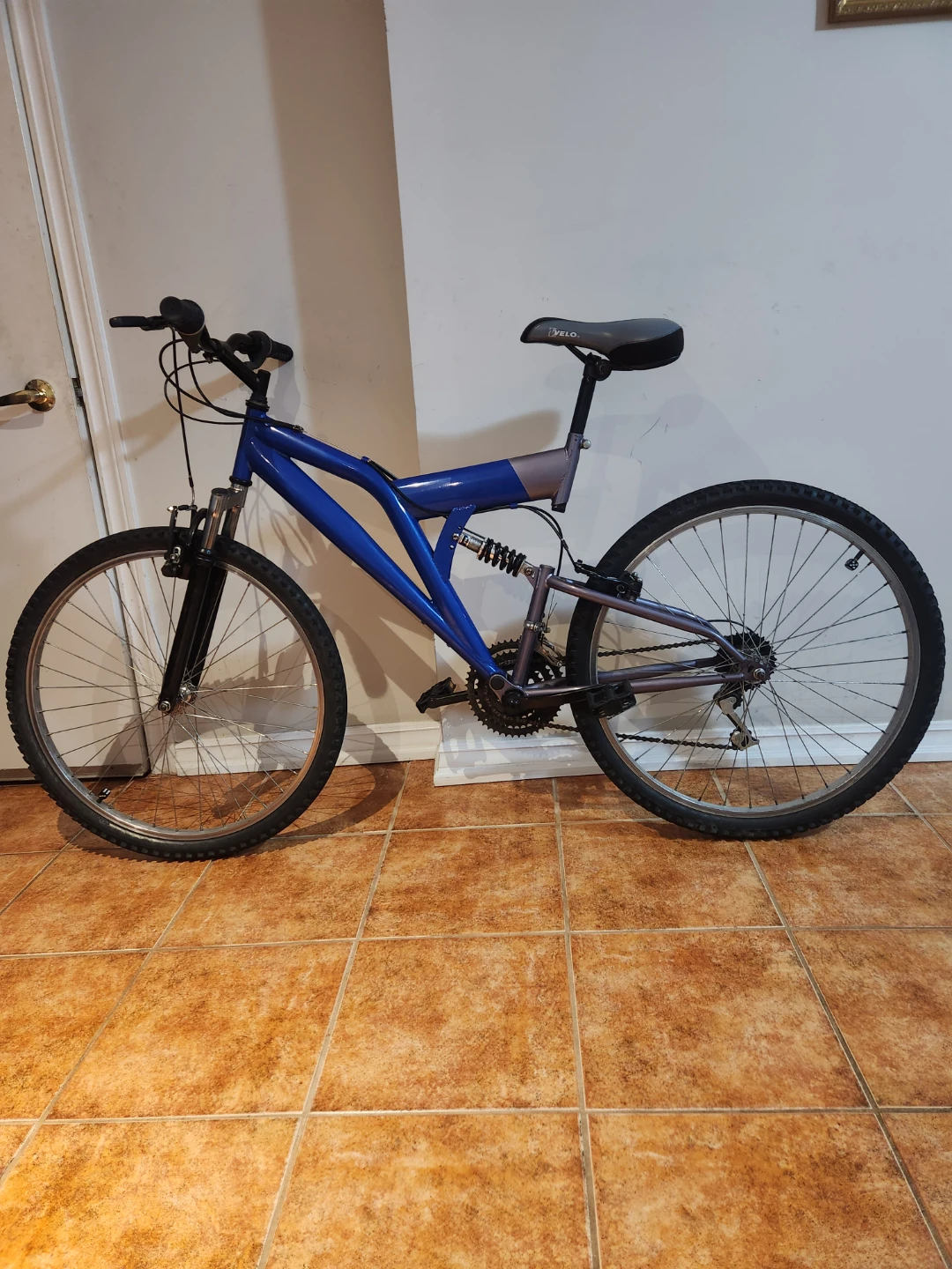 Blue Mountain Bike