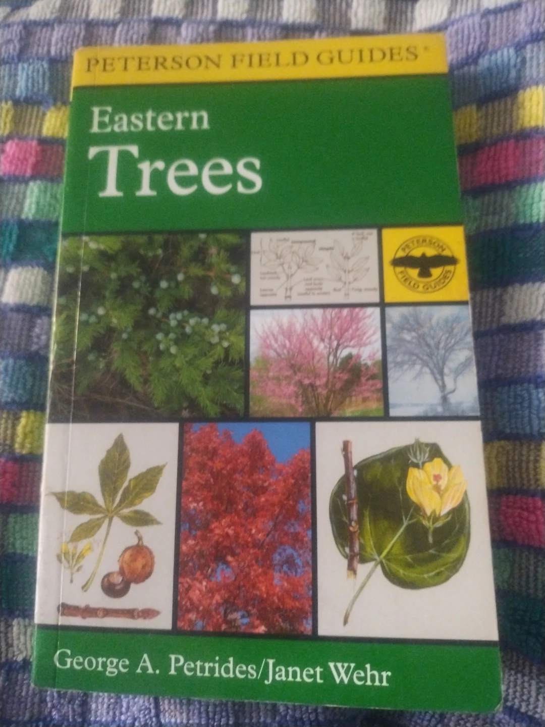 Peterson Field Guide: Eastern Trees