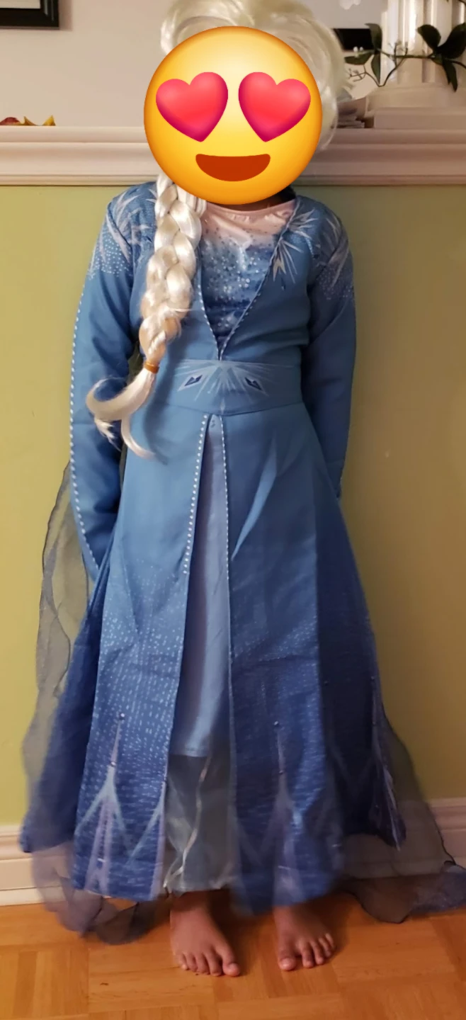 Disney Frozen Elsa Costume