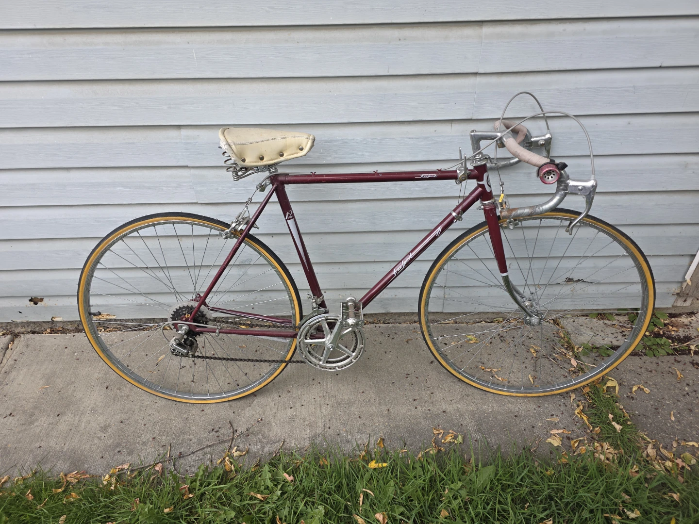 Vintage Free Spirit 12-Speed Road Bike