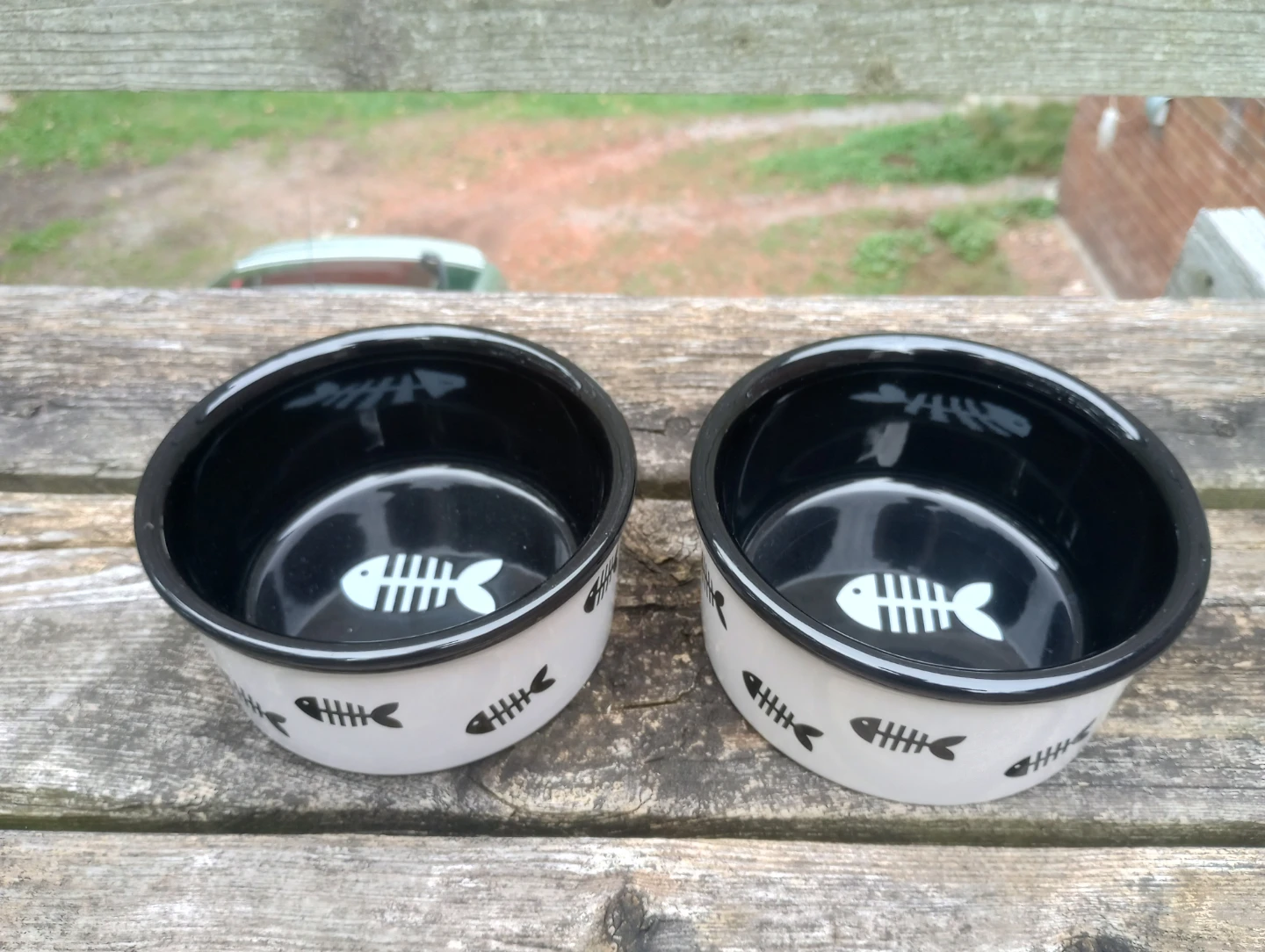 Various NEW Dog Bowls - photo 3