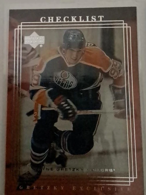 Binder with hockey cards (340+) - photo 2