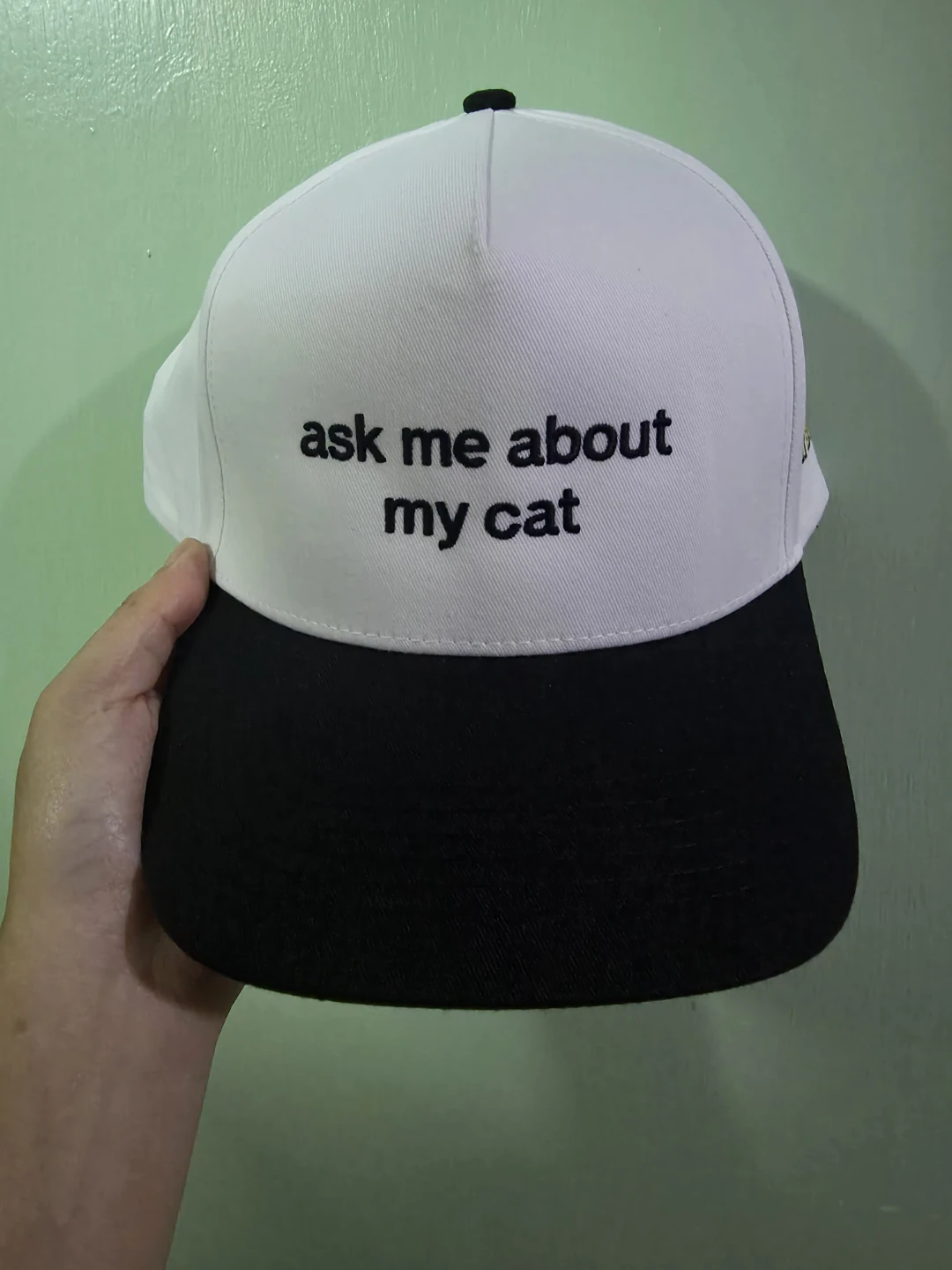 Temptations Cat Bodega Snapback Hat 🏈
