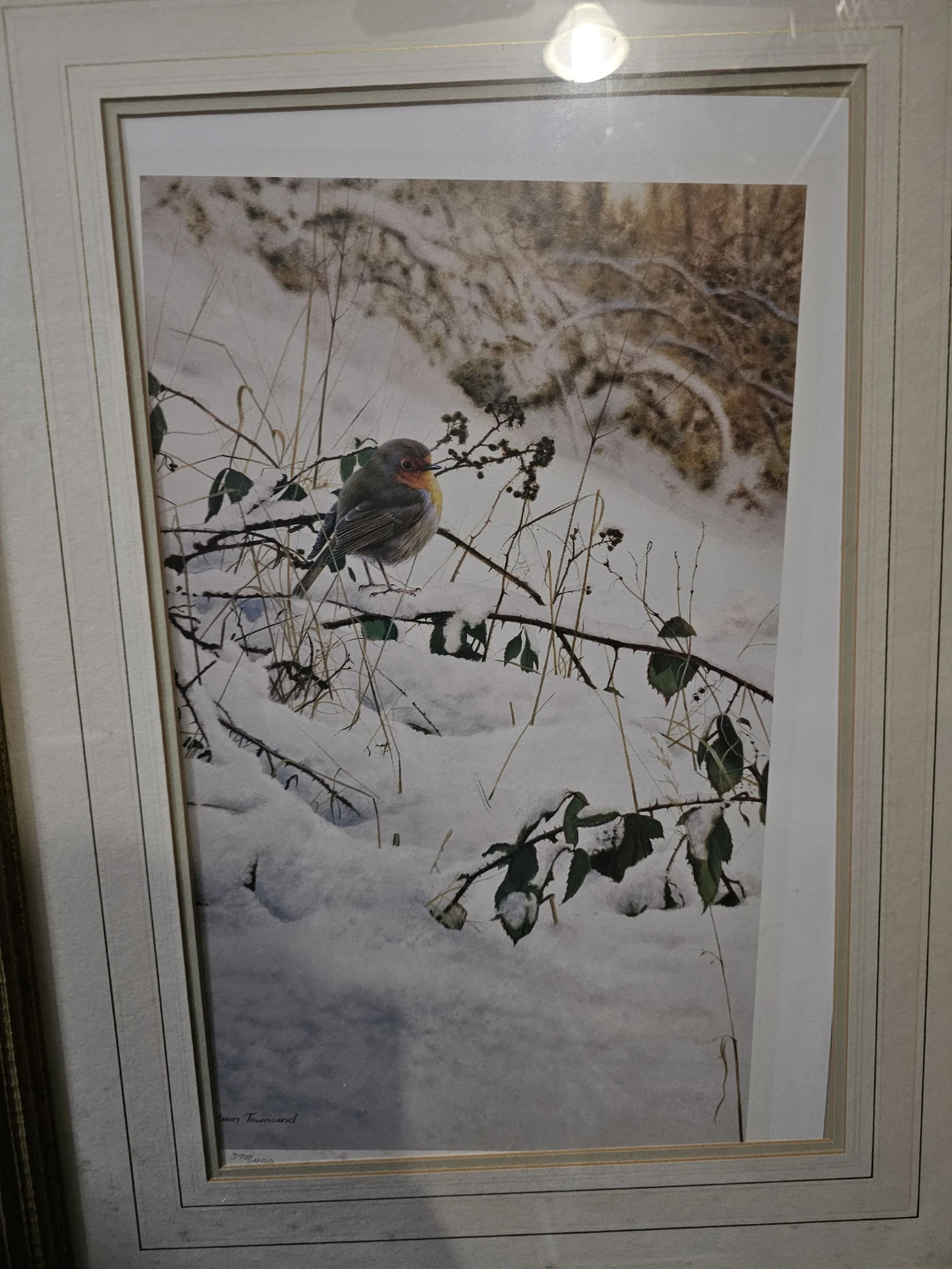 Steven Townsend limited edition robin print - photo 2