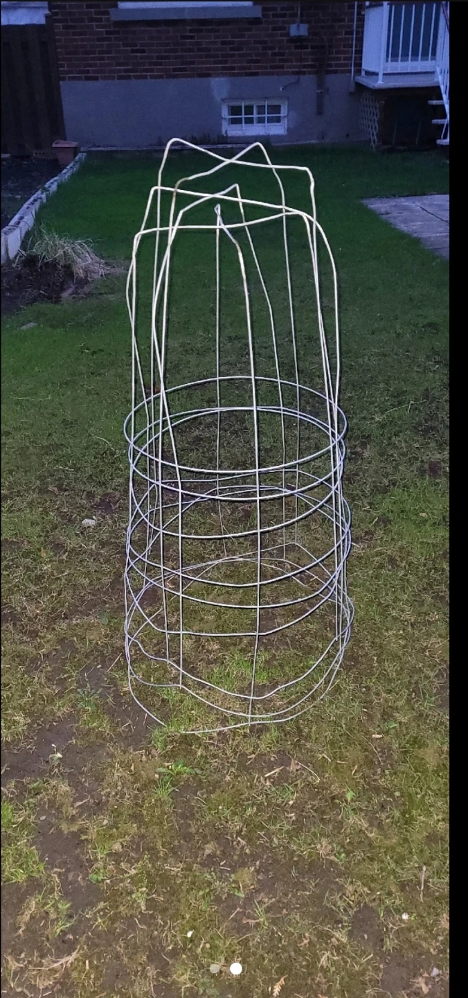 Metal Tomato Cage Supports each 5$ - photo 2