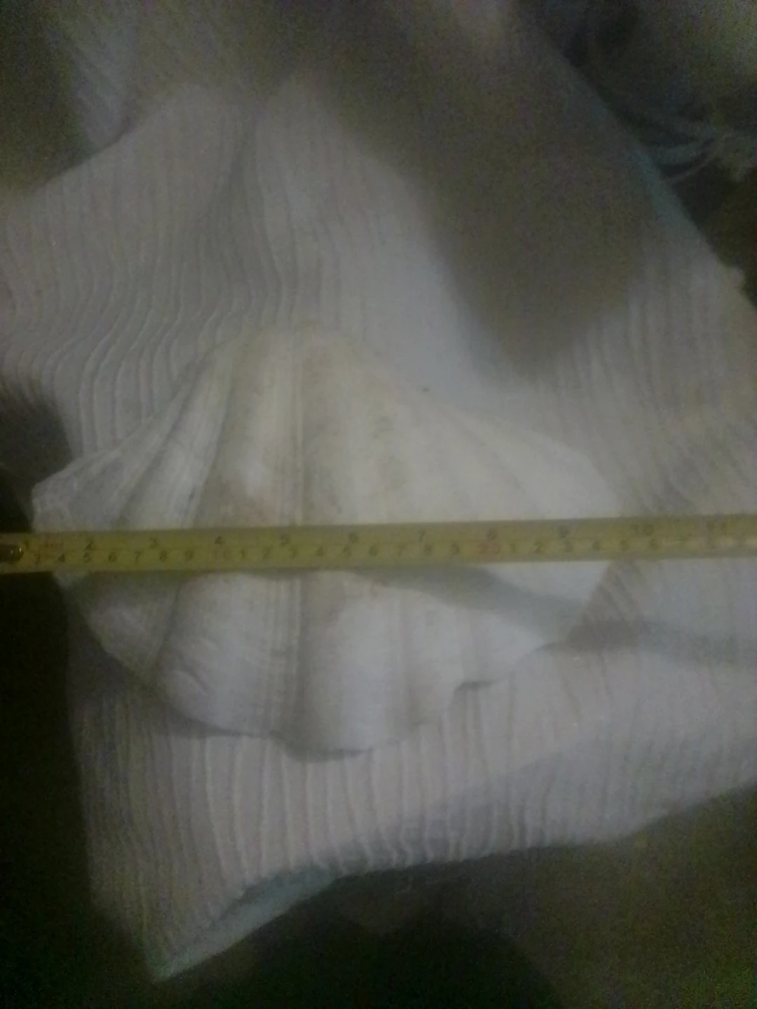 🏈 Large Decorative Seashell - photo 2
