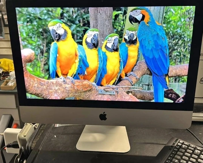 Imac 2017 4k display