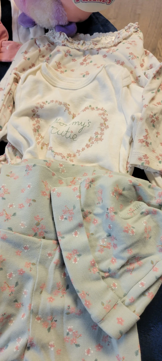 Baby Girl Clothing Bundle - photo 5