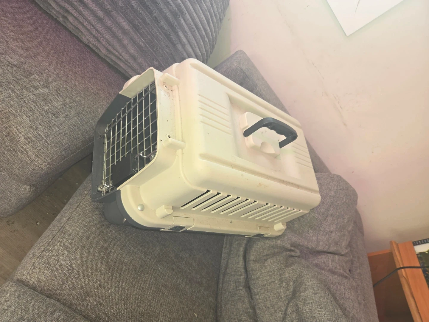 Small Pet Carrier 🏈 - photo 2