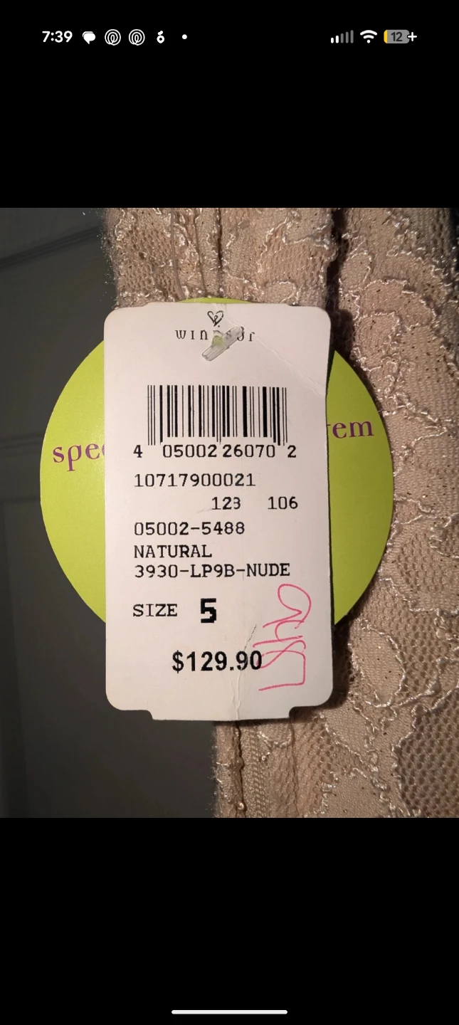 Windsor Nude Lace Gown, Size 5 - photo 5