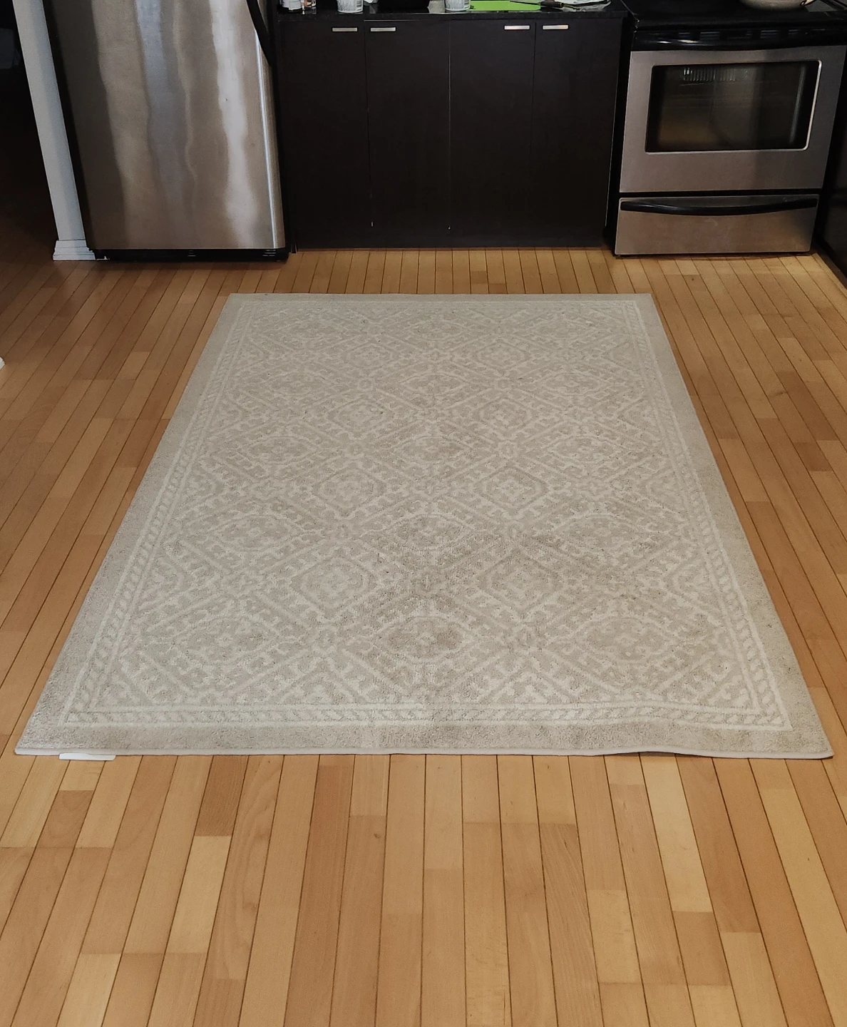 Beige Patterned Area Rug - photo 2
