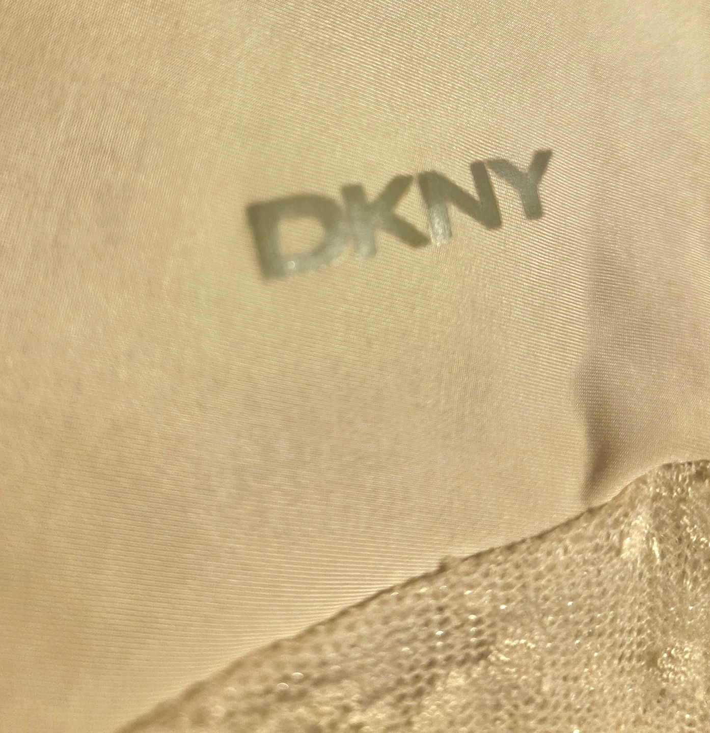 DKNY Beige Lace Bodysuit - photo 3