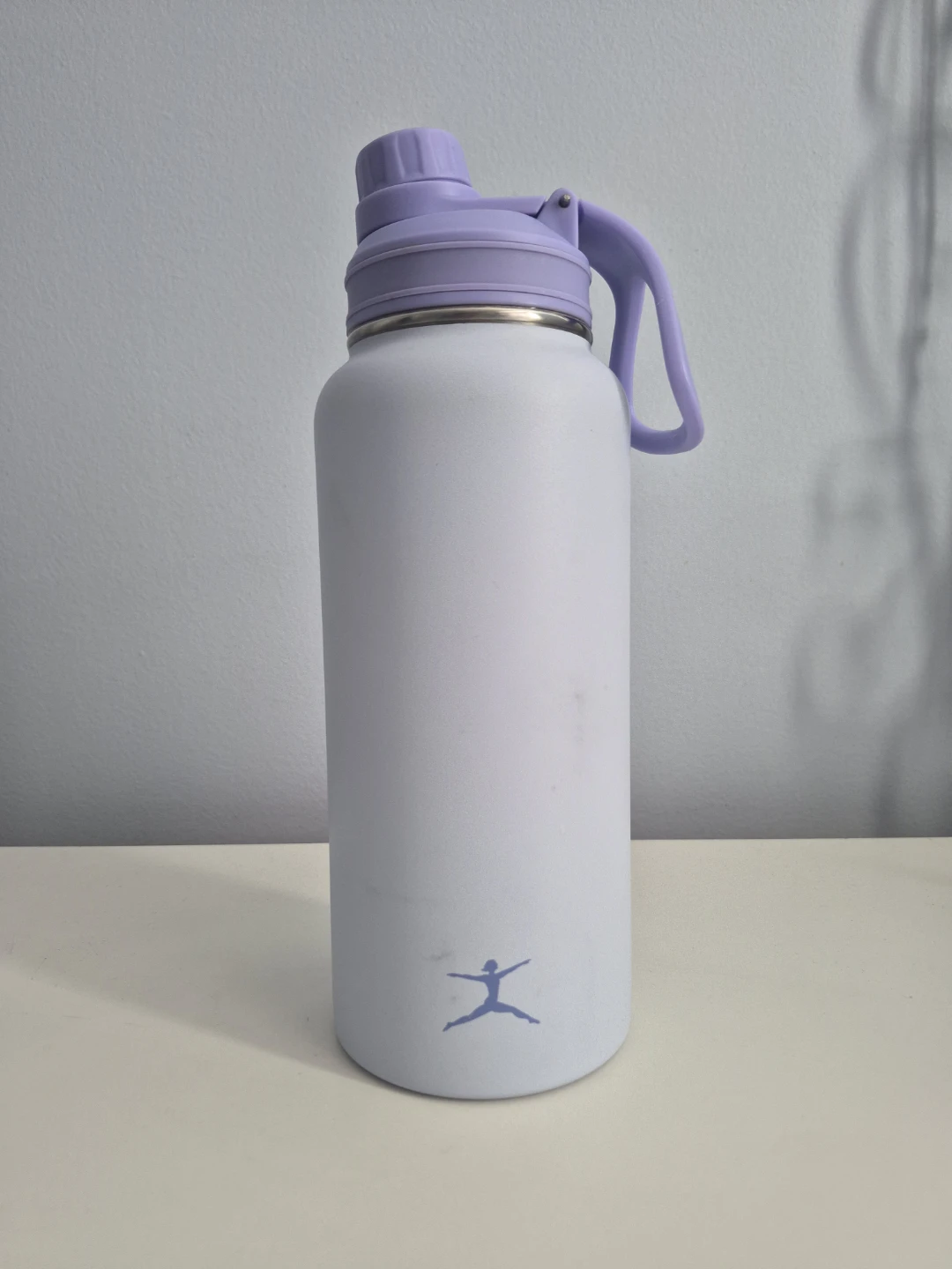 Danskin 32oz Insulated Stainless Steel Water Bottle