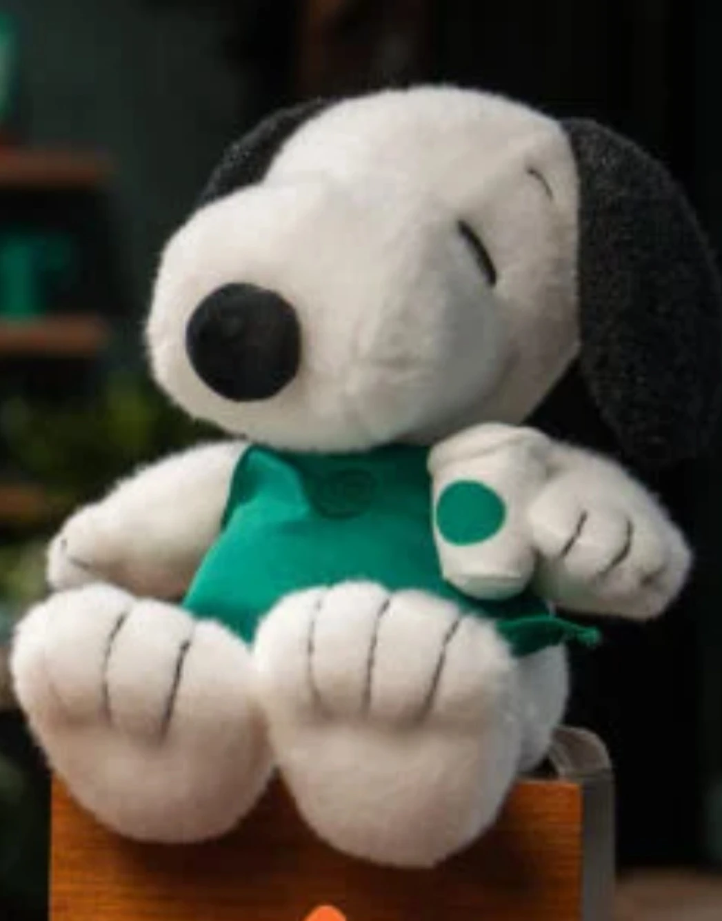 Peanuts x Starbucks Snoopy Plush