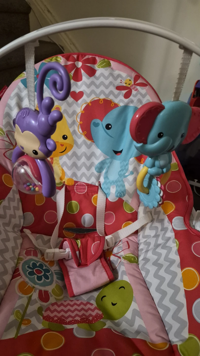Fisher-Price Infant-to-Toddler Rocker - photo 4