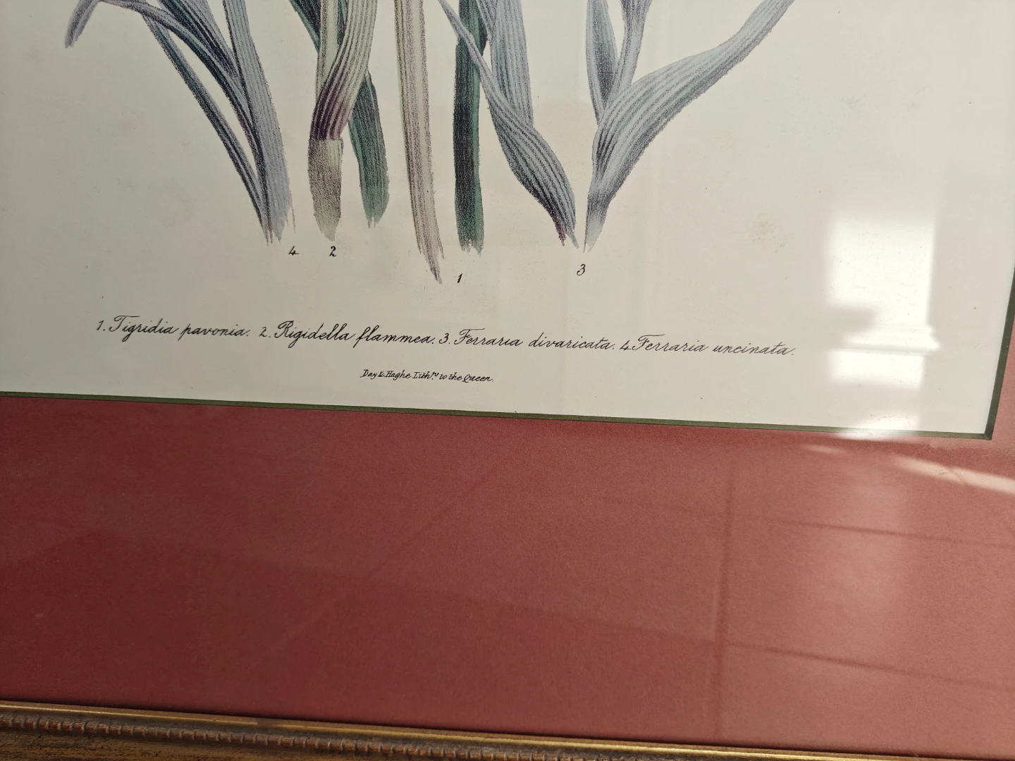 Vintage Botanical Floral Print - photo 2