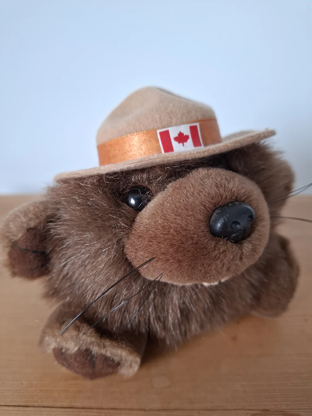 Plush Beaver with Canadian Flag Hat