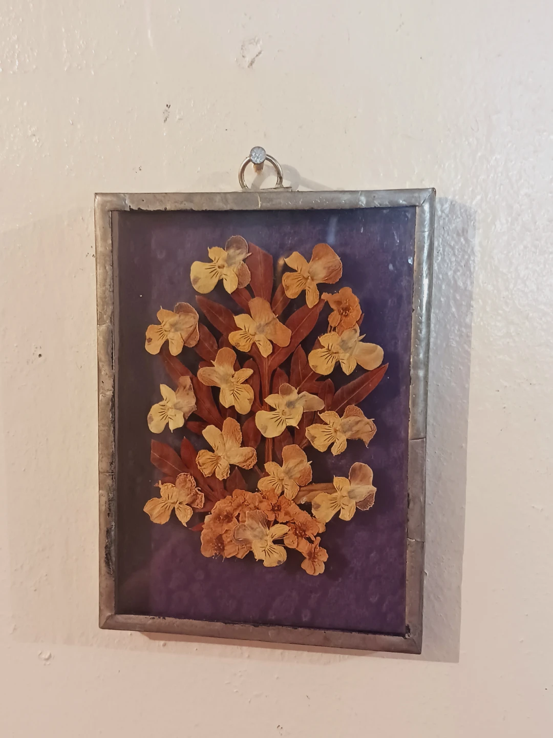 Miniature Pressed Flower Wall Art in Metal Frame - photo 2