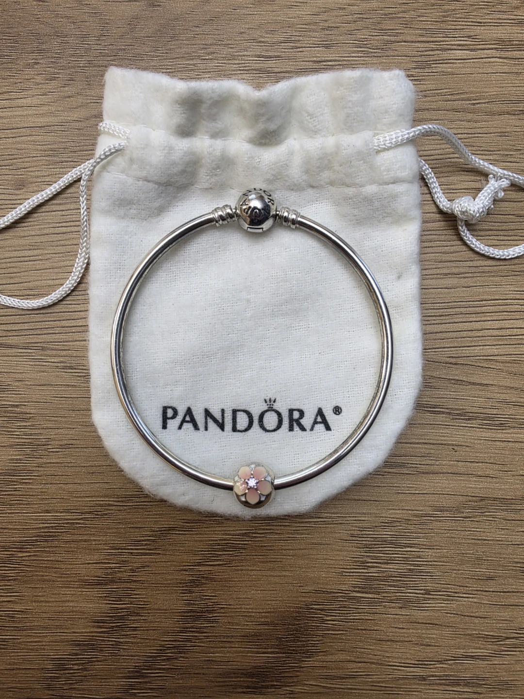 Brand New Pandora Moments Bangle Bracelet with one Charms