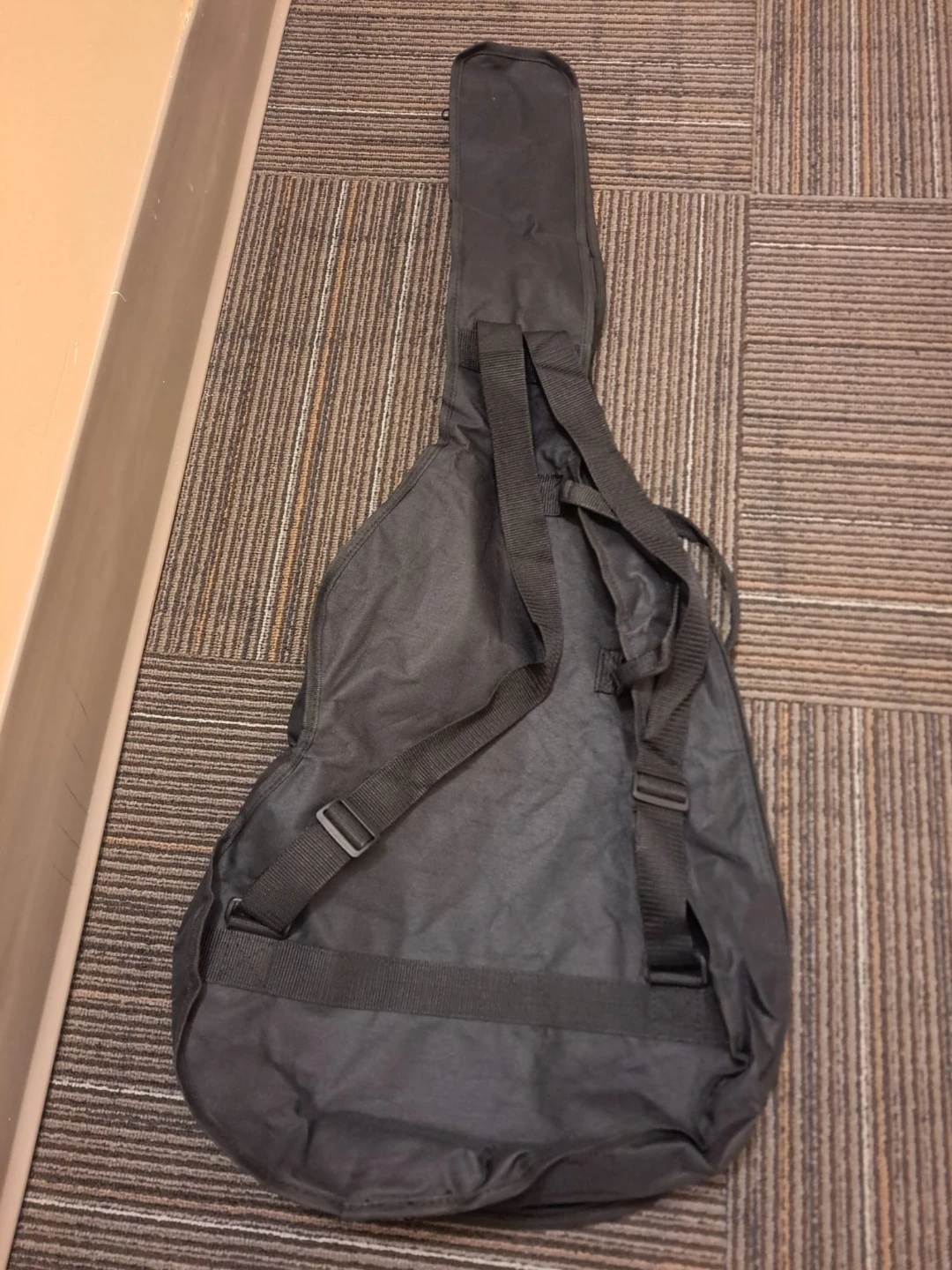Beaver Creek electric Guitar Gig Bag