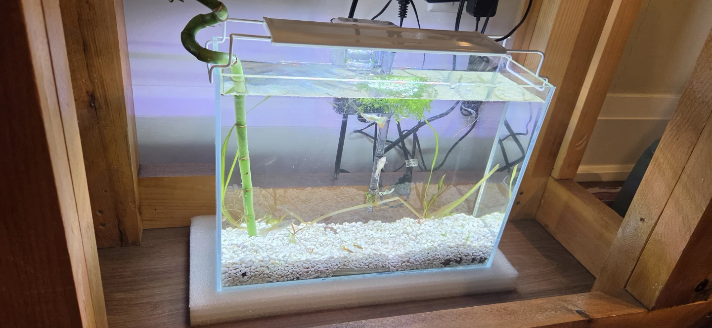 Glass Aquarium with Light and Filter - photo 3