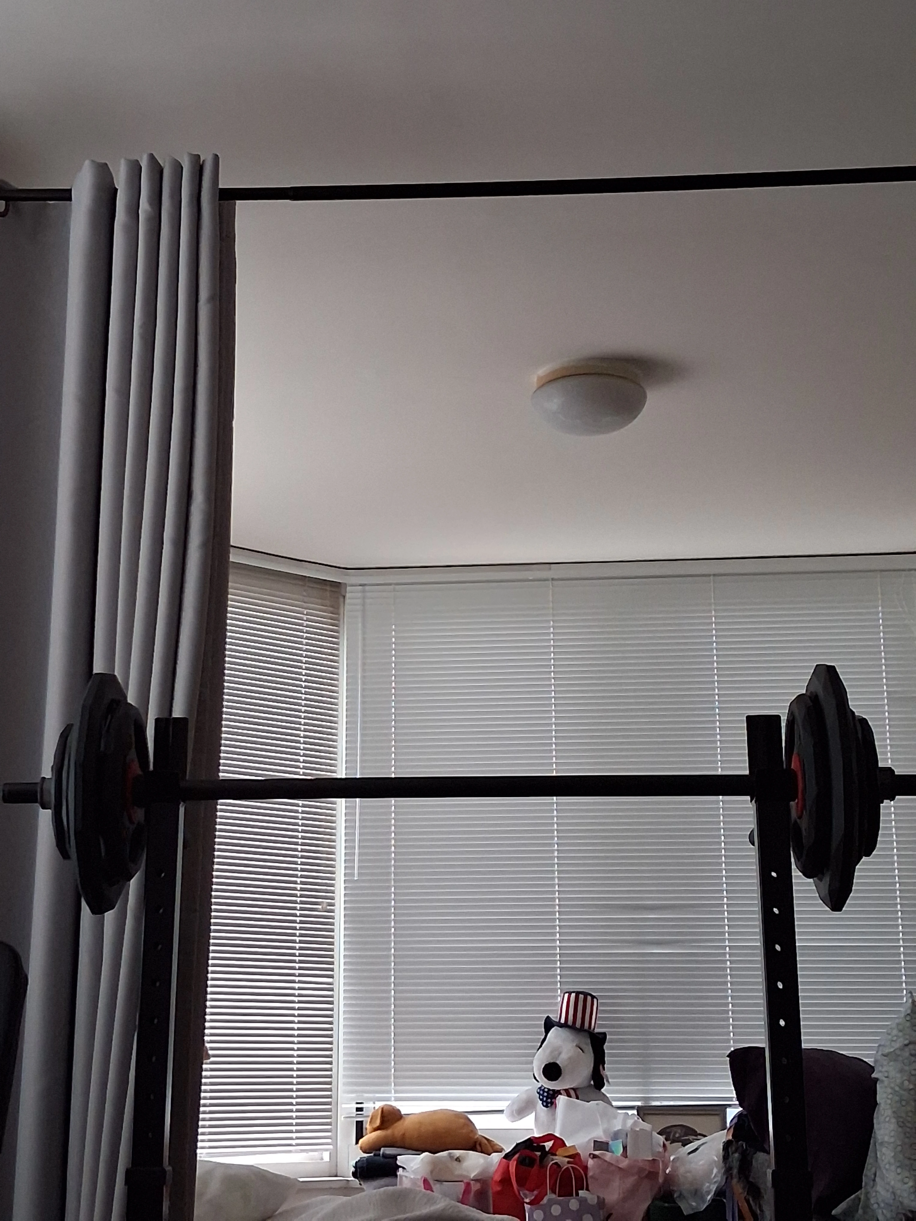 Weightlifting Barbell and Stand