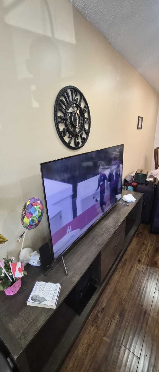 Large Flat Screen Television