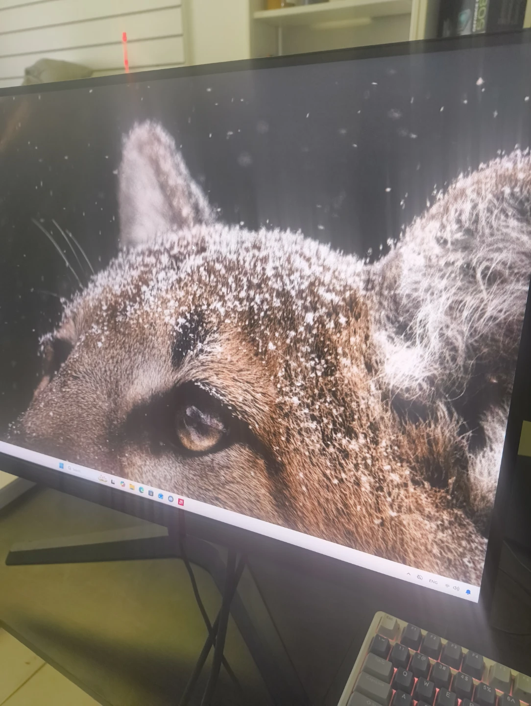 Gaming monitor qhd 2k 170hz