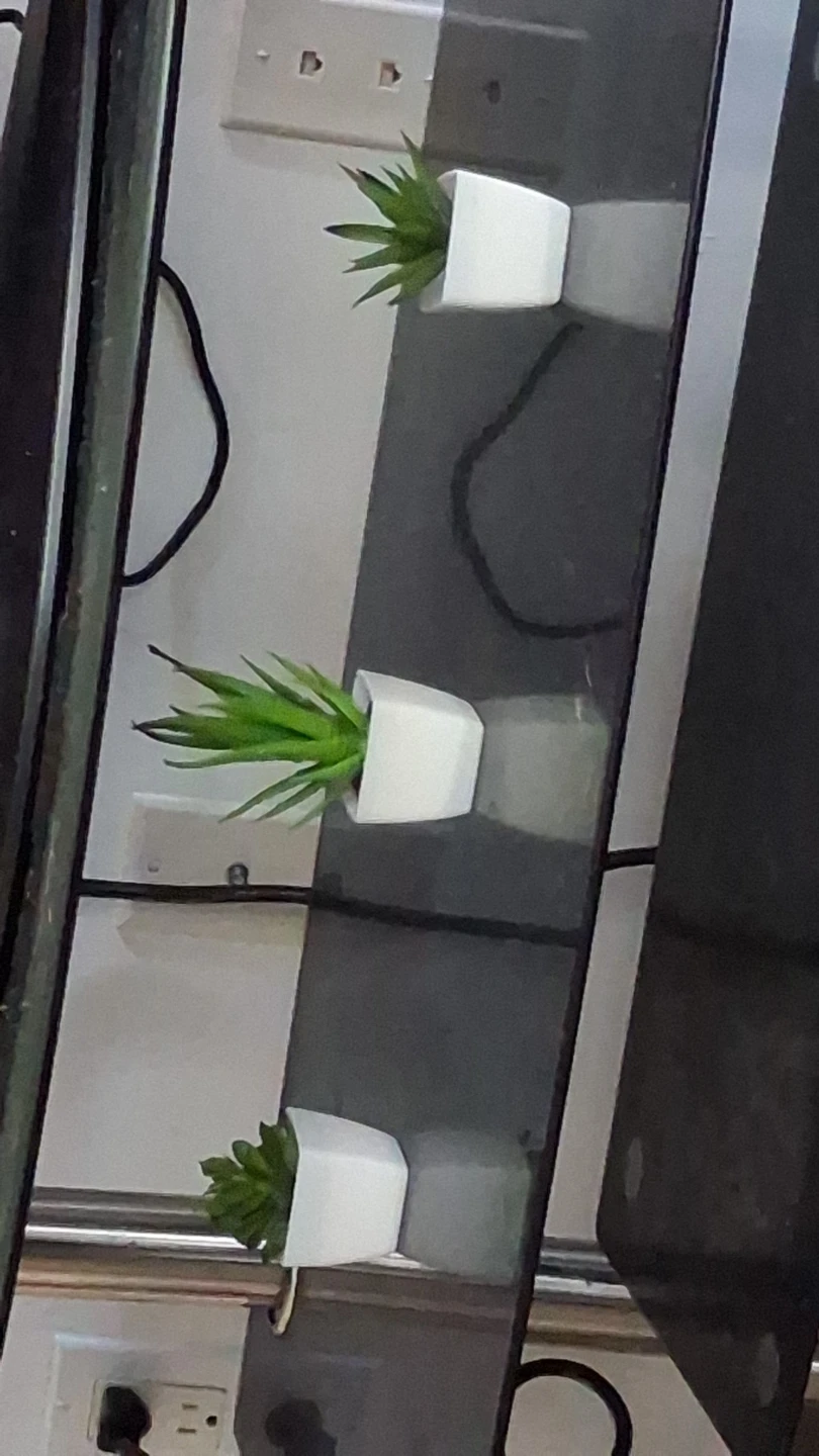 Set of 3 Artificial Succulents in White Pots
