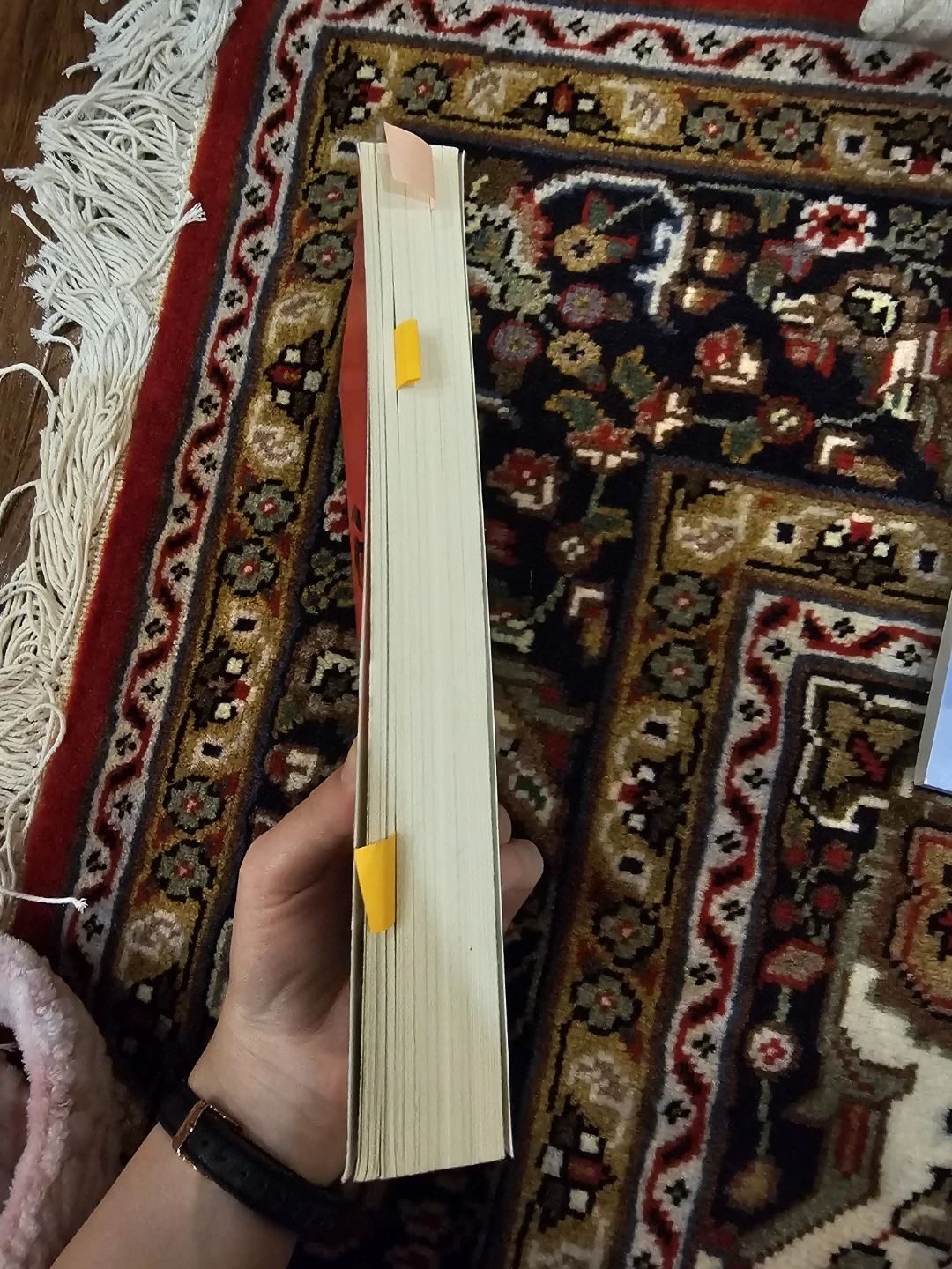 The Taming of the Shrew, Norton Critical Edition - photo 2