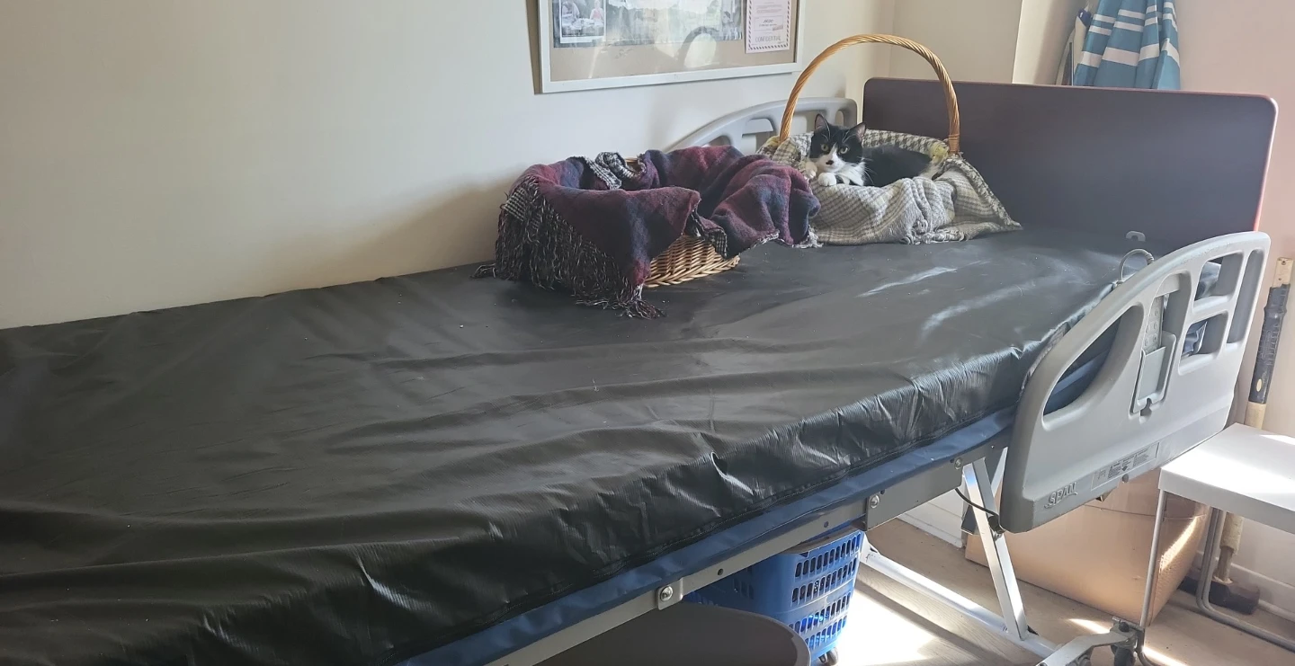 Span Medical Adjustable Hospital Bed
