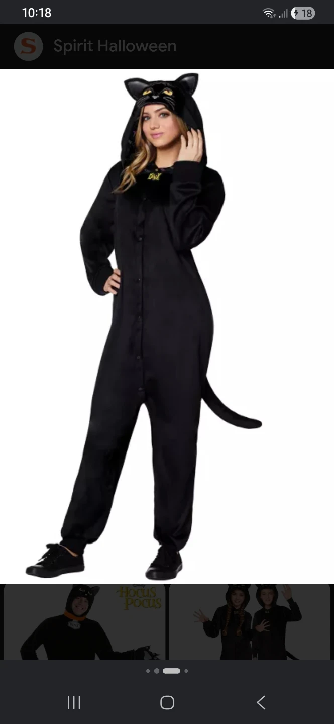 Spirit Halloween Hocus Pocus Binx Black Cat Costume